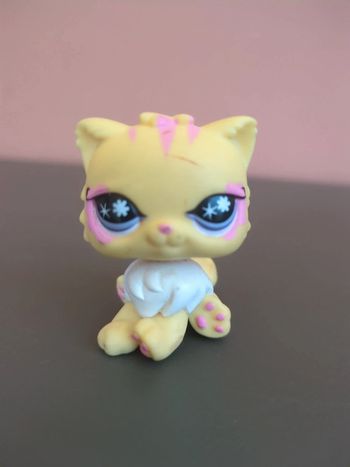little petshop chat