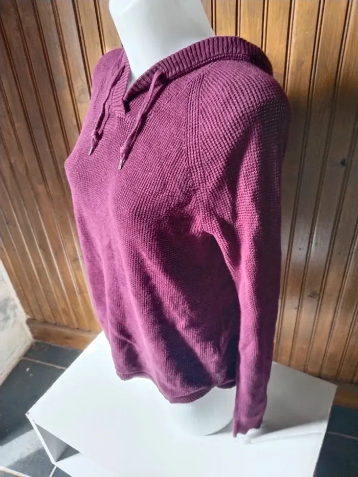 Joli sweat à capuche femme de marque Lauren Ralph Lauren taille M 38 40 - photo numéro 7