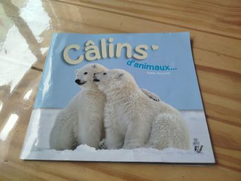 Câlins d'animaux