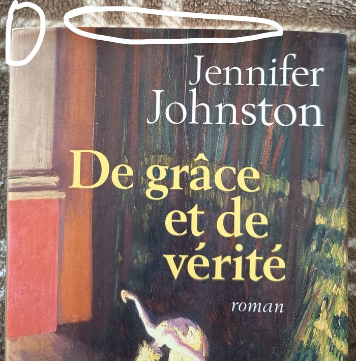 📖 Roman de Jennyfer Johnston 📖 - photo numéro 5