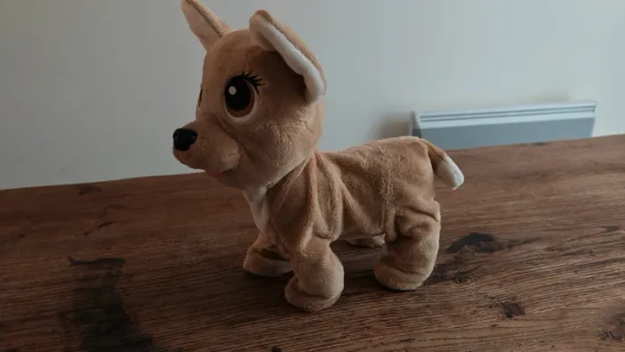 Chien Chi chi love - photo numéro 2