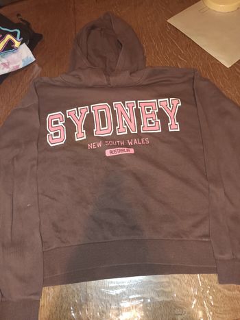 Sweat a capuche