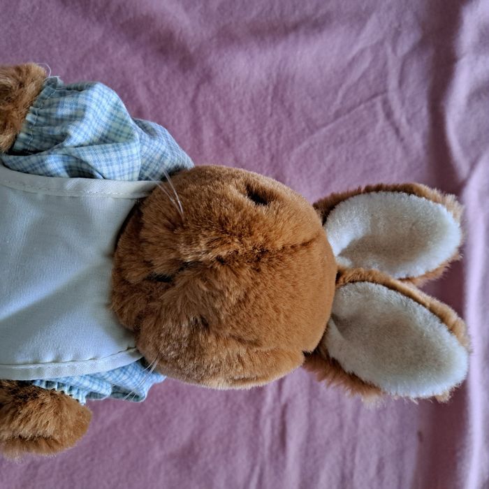 Mrs rabbit peter - photo numéro 6