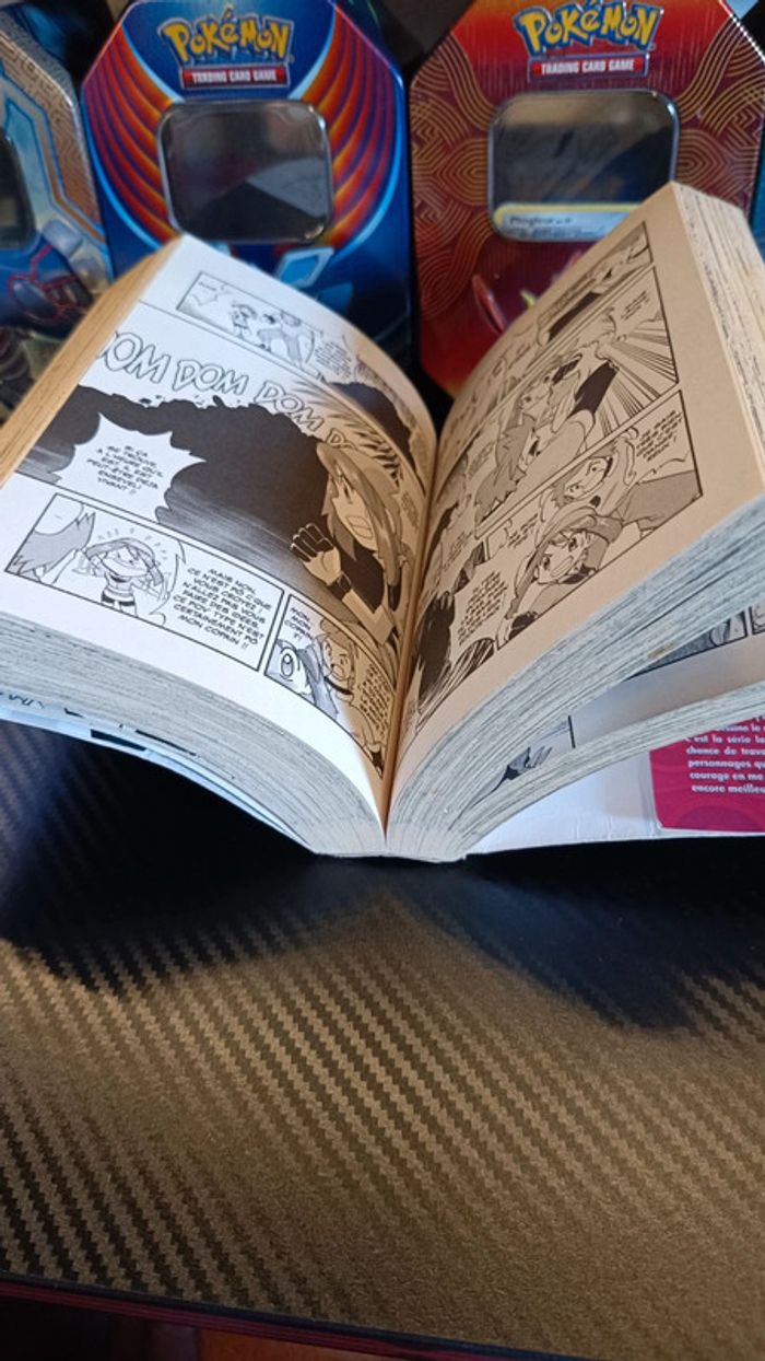 Manga pokémon rubis et saphir - photo numéro 4