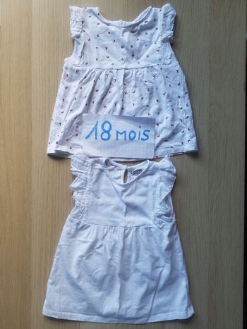 Lot 2 hauts 18 mois fille
