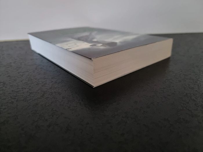 Vert Emeraude de Kerstin Gier - photo numéro 5