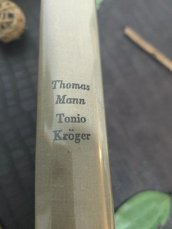 Tonio Kröger - Thomas Mann