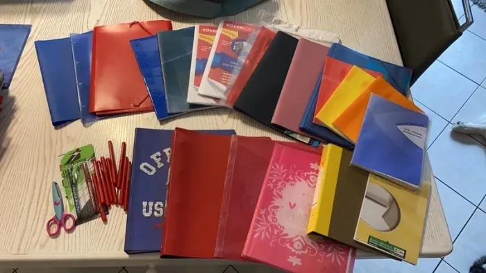 gros lot scolaires classeurs cahiers trieurs porte vues etc