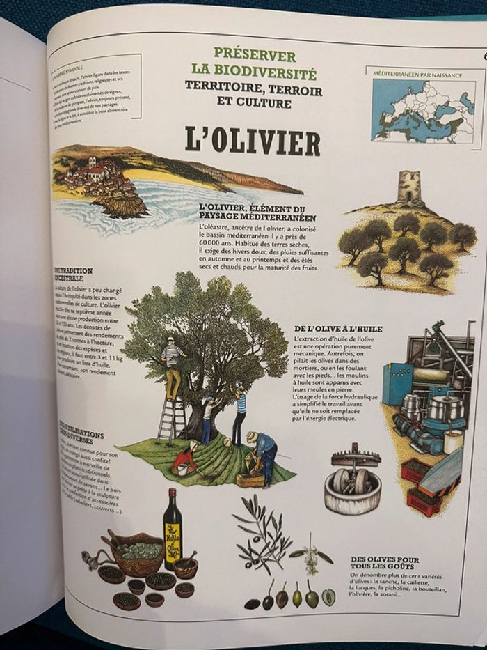 Grand livre Deyrolle pour l’avenir Comprendre la Terre Hoebeke album Louis Albert de Broglie - photo numéro 6