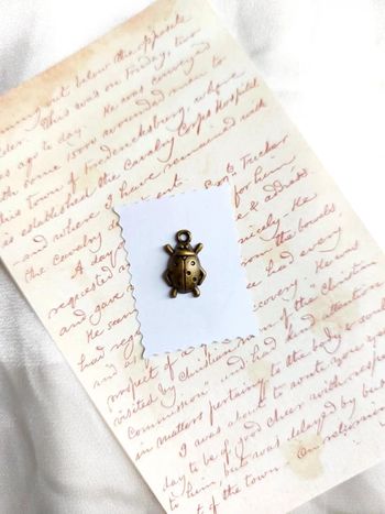 coccinelle couleur bronze doré