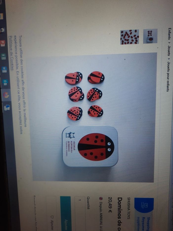 Dominos des coccinelle 🐞 - photo numéro 5