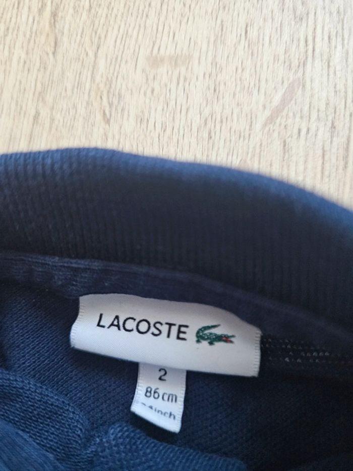 Polo Lacoste tbe - photo numéro 4