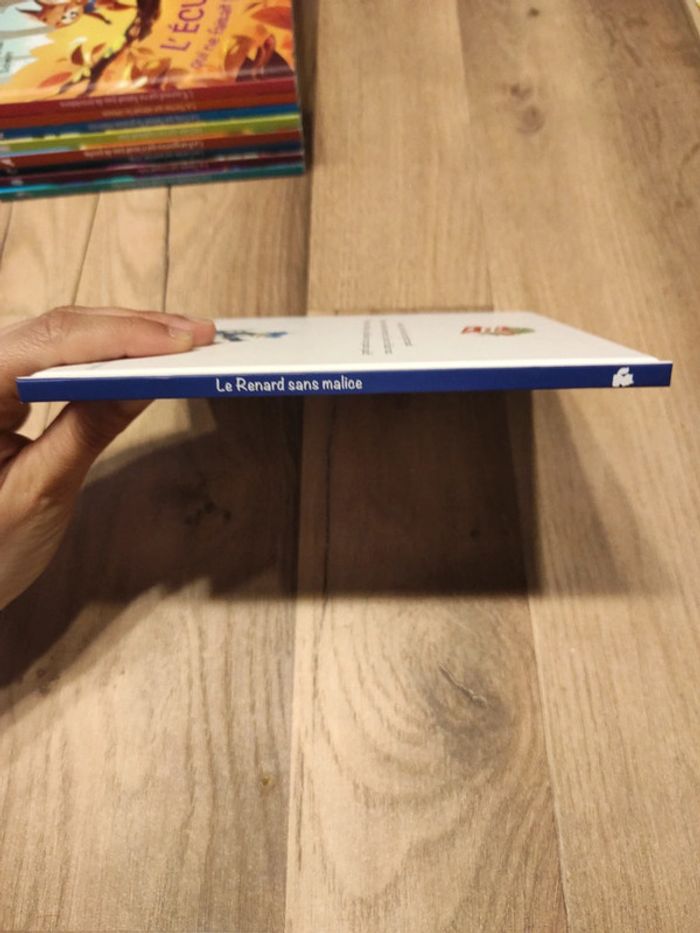 Livre : Le Renard sans malice - photo numéro 3