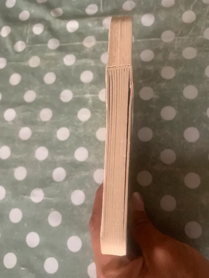 Livre poignée - photo numéro 11