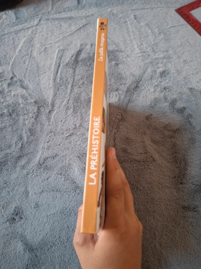Livre La préhistoire - photo numéro 2