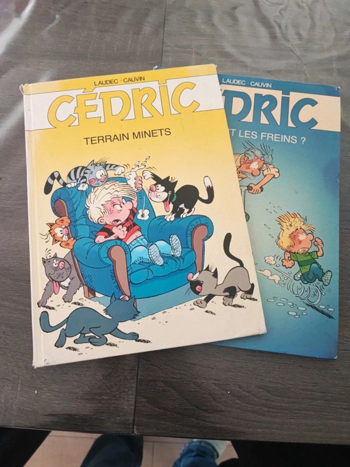 Lot 2 bd Cédric