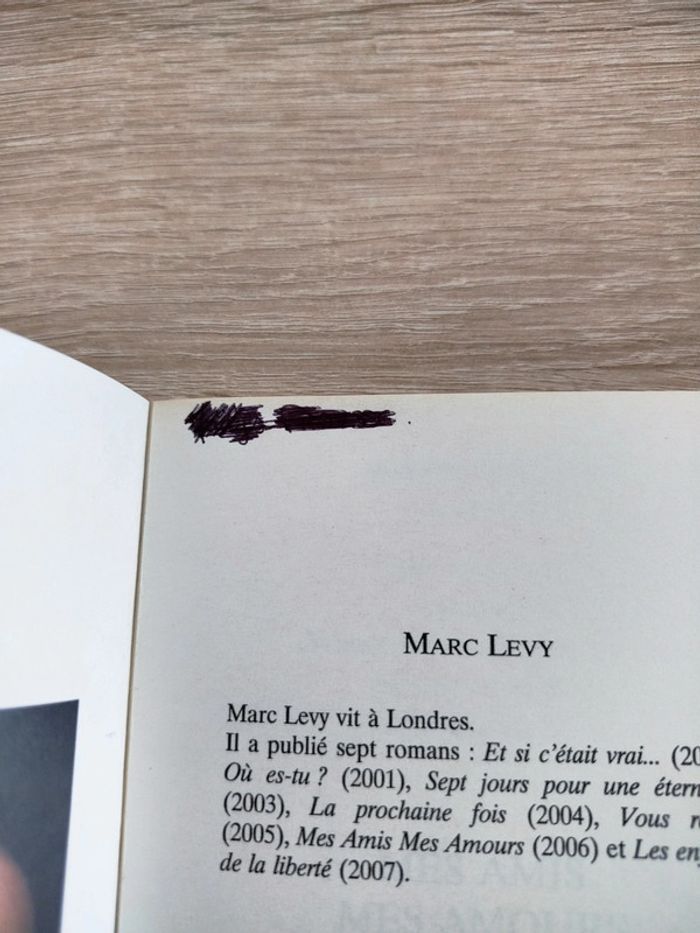 Mes amis mes amours, Marc Lévy - photo numéro 3