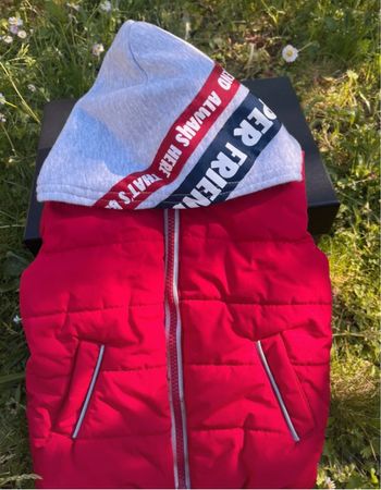 Veste garçon neuve grain de blé 24 mois 