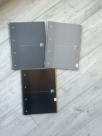 Lot cahiers Oxford color system