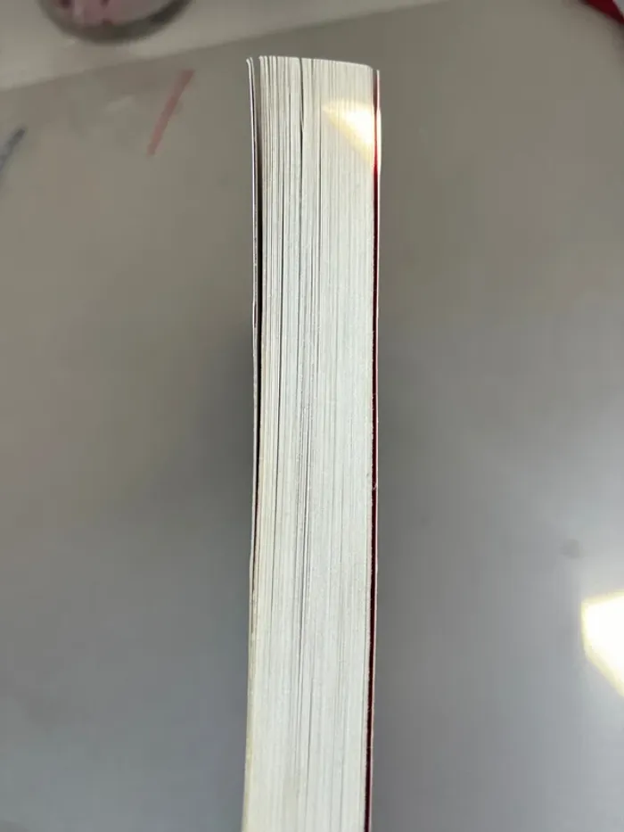 Livre journal d’un dégonflé tome 2 - photo numéro 4