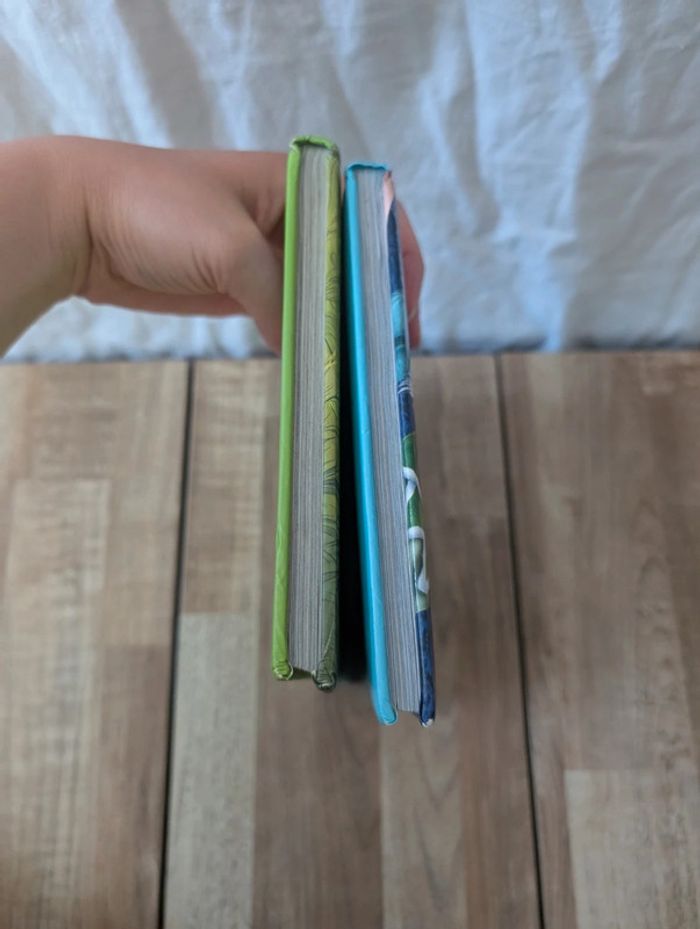 Lot livres Disney - Édition France Loisirs - photo numéro 13