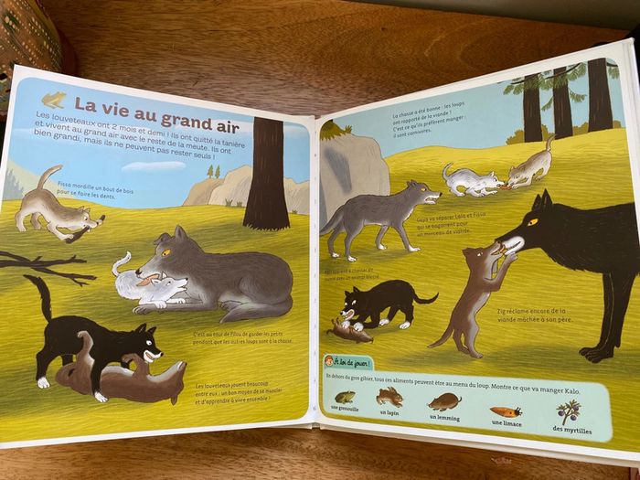 Dokeo le loup - photo numéro 6