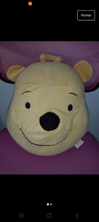 Coussin winnie l ourson 2