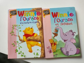 Lot 2 livres Winnie