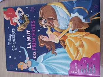Livre La nuit des Princesses