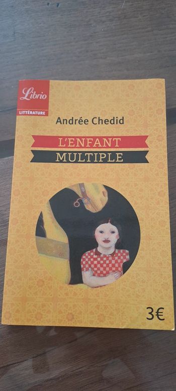 (Réduction) Livre L'enfant multiple
