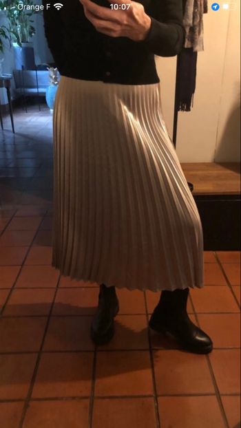 Jupe plissée  permanent  beige  gris brillante 