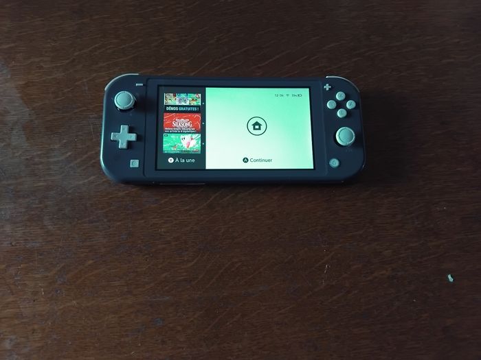 Switch lite - photo numéro 2