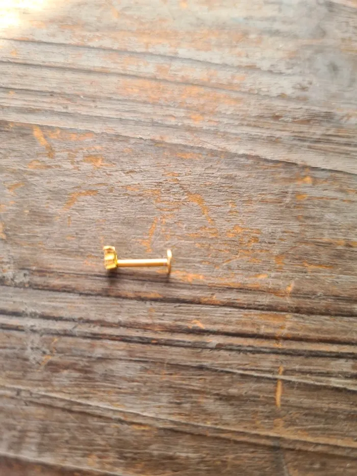 Superbe piercing - photo numéro 4