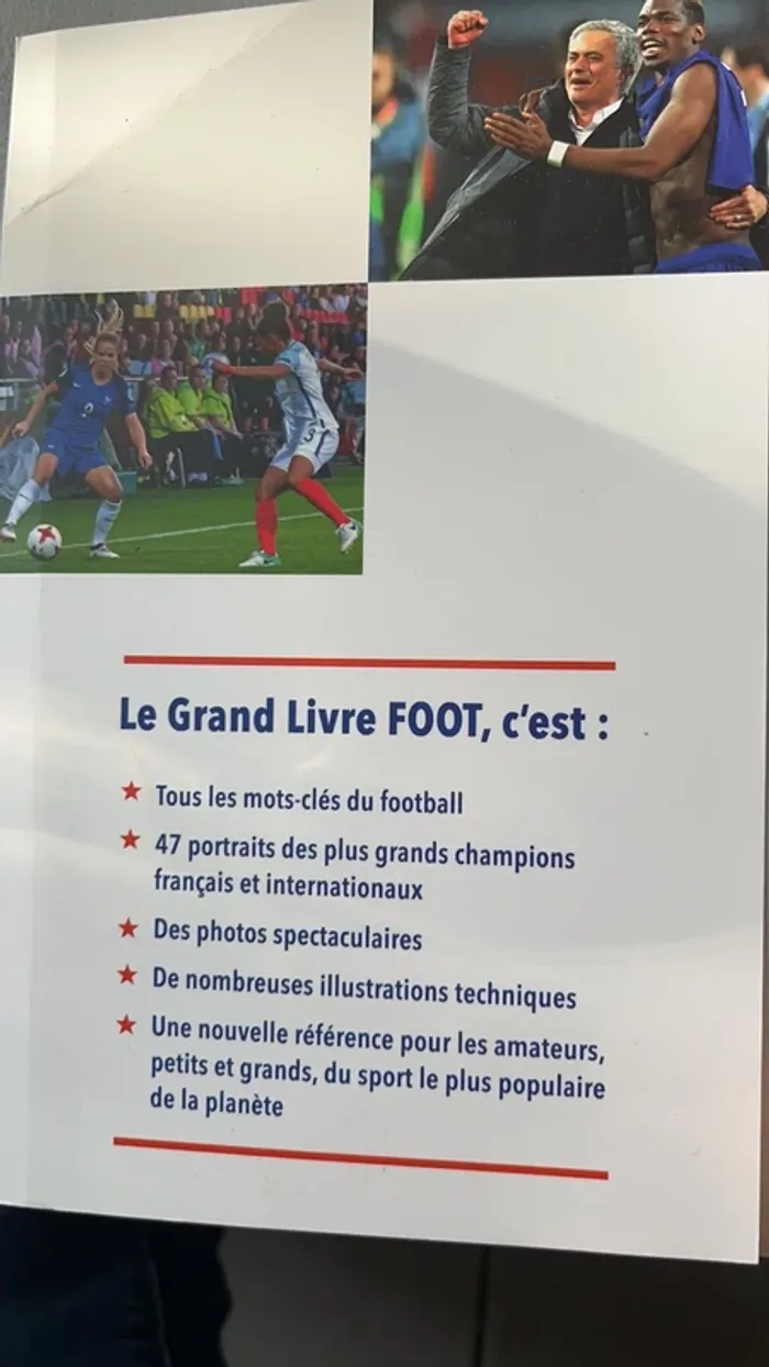 Le grand livre du foot - photo numéro 3