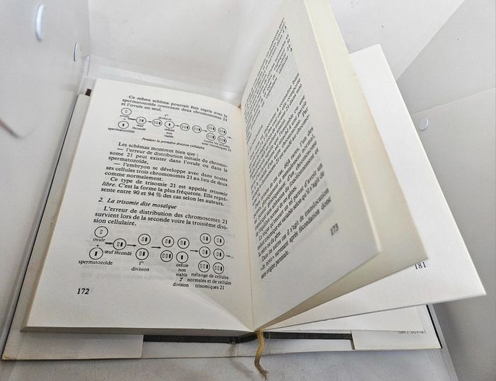 "Mon enfant, ma douleur, mon bonheur", de Monique Lafon.
184 pages.
ISBN : 2.7242.4758.2 - photo numéro 5