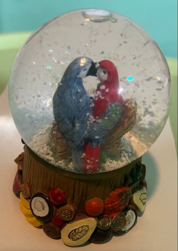 Boulle de neige  du Brésil 