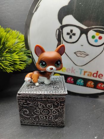 Lps01250 My Littlest Petshop Pet Shop LPS  Hasbro Dog Chien Corgi 897
