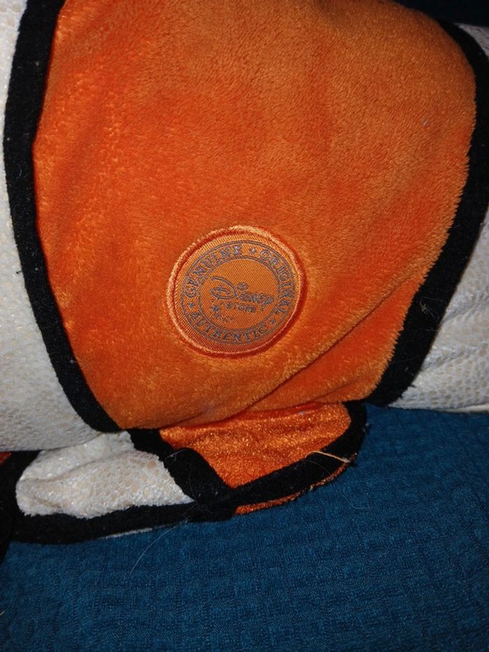 Poisson clown nemo - photo numéro 3