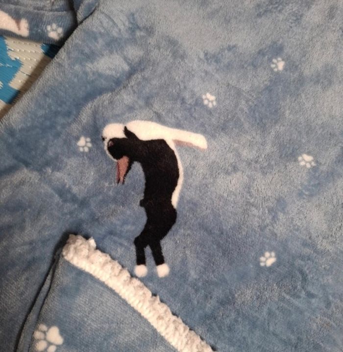 Veste polaire - photo numéro 5