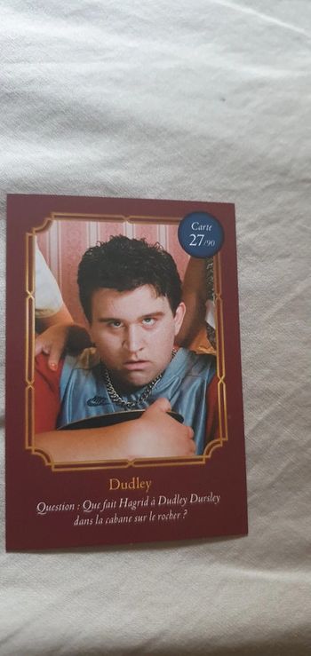 Cartes Harry Potter Auchan Dudley n° 27/90
