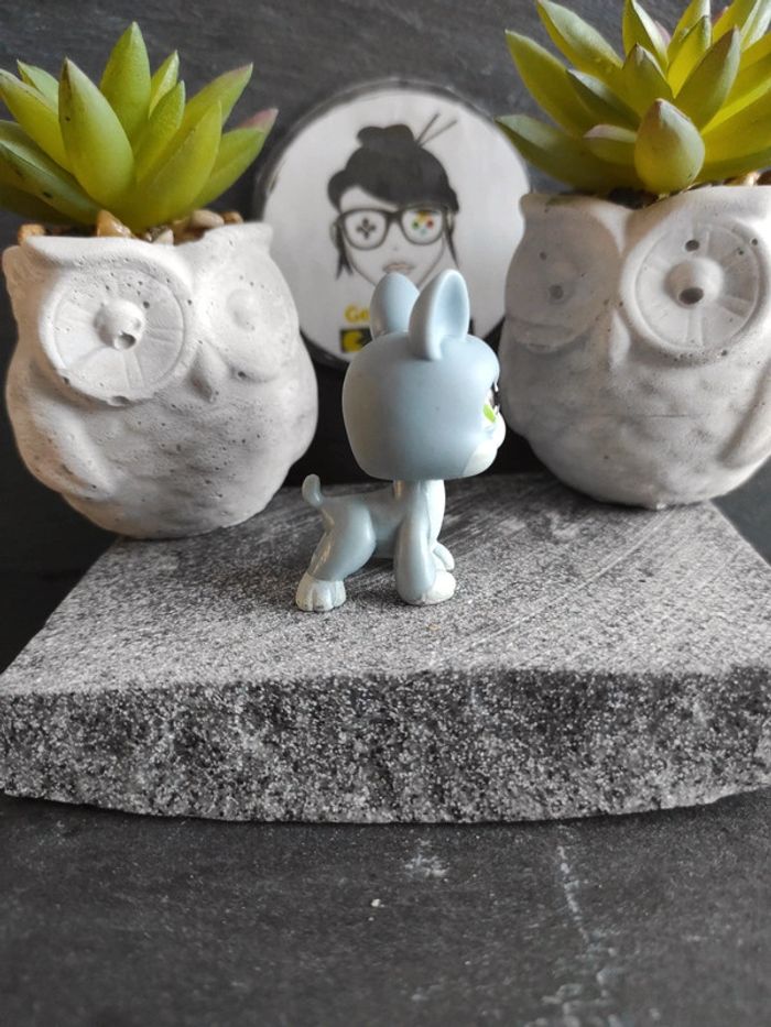 Littlest Petshop Pet Shop LPS dog chien boston terrier 857 #geektradelpschien - photo numéro 2