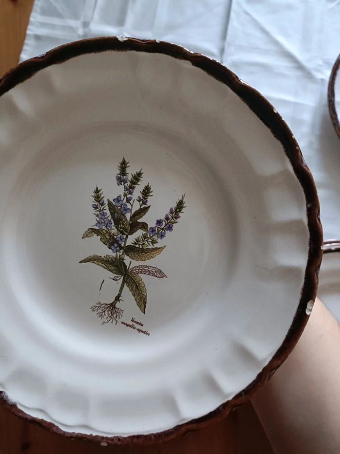 Lot de 8 assiettes vinteges herbes aromatiques - photo numéro 9