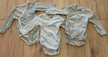 Lot 3 bodies