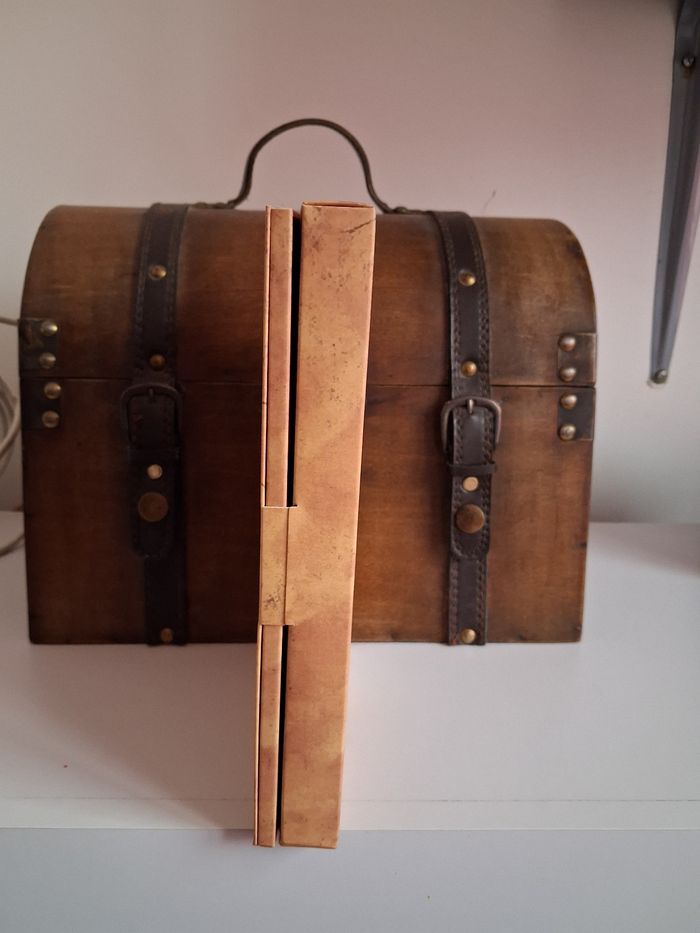 Manga Fairy Tail coffret collector édition limitée tome 19 - photo numéro 4