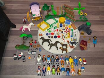 Gros lot de playmobil divers (certains vintage)