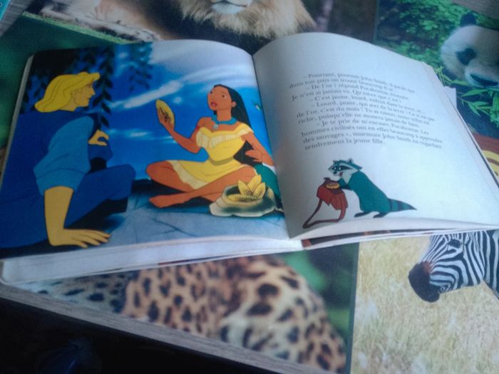 Lot livre Disney - photo numéro 5