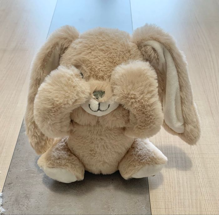 Peluche musicale lapin - photo numéro 2