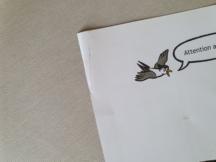 Livre enfant - photo numéro 7
