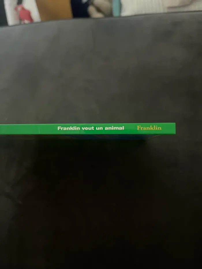 Franklin veut un animal 🐢 - photo numéro 3