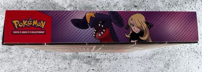 Coffret Carchacrok ex de Cynthia Pokémon - photo numéro 6